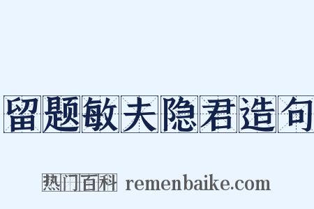 留题敏夫隐君造句是什么意思的图片